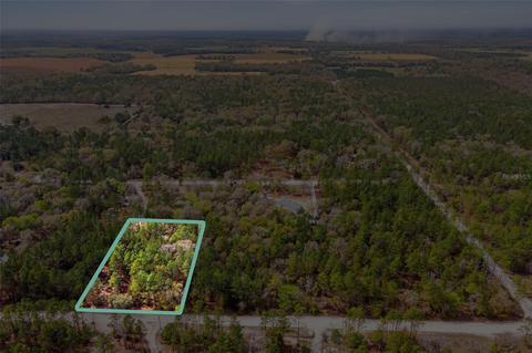 000 NW 16th Ave, Bell, FL 32619