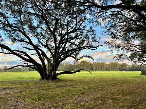 Lot 6 SW 15th Avenue, Newberry, FL 32669