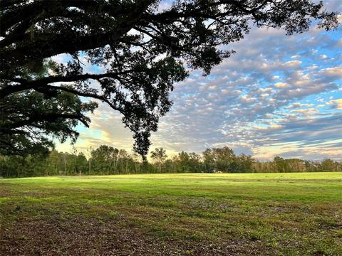 Lot 7 SW 15th Avenue, Newberry, FL 32669
