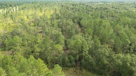 6 Northeast Us Highway 301, Hawthorne, FL 32640