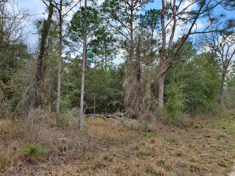 00 NE 14th St E, Williston, FL 32696