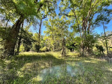 Lake Circle, Fanning Springs, FL 32693