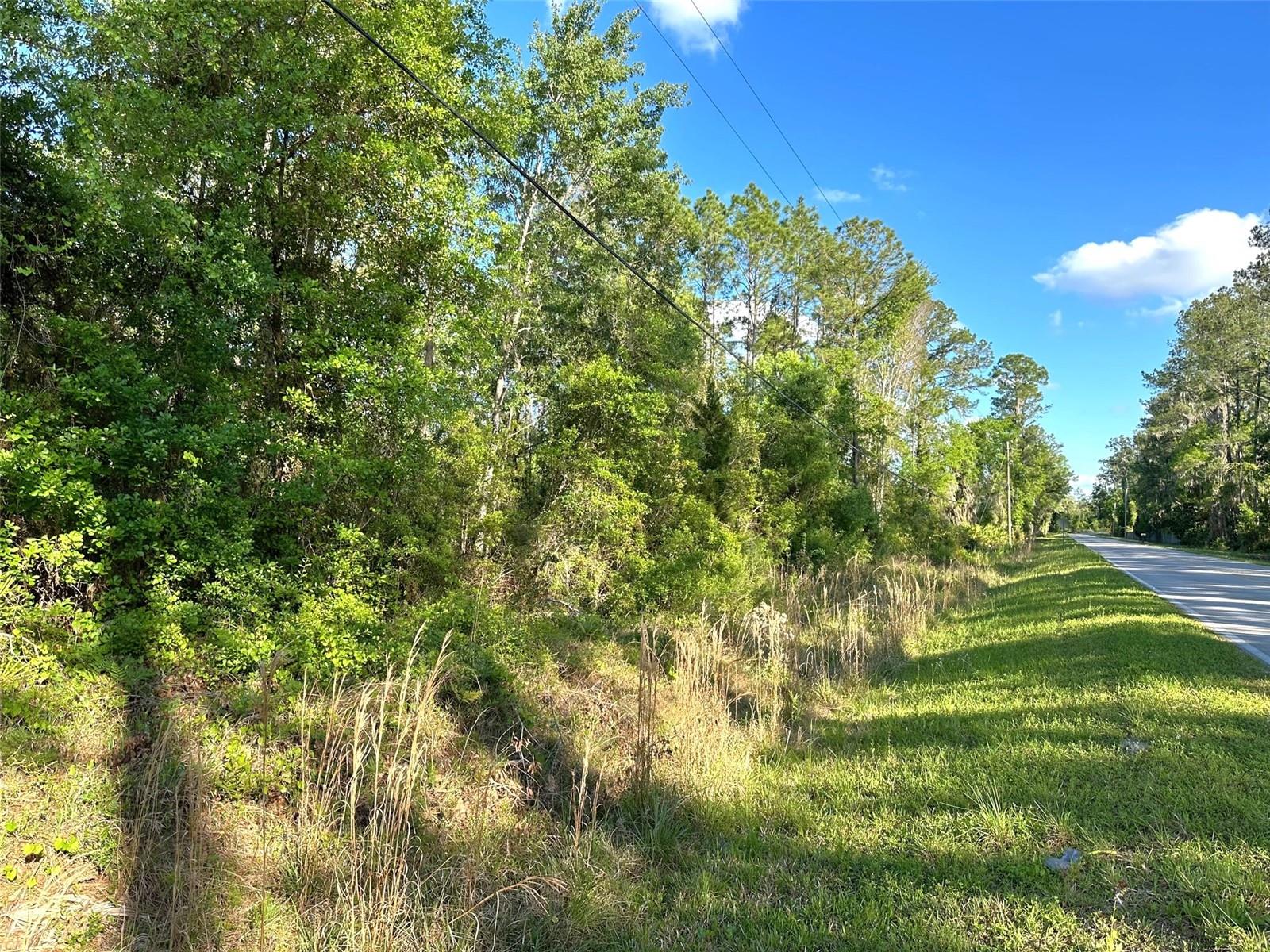 000 SE County Rd 21b  