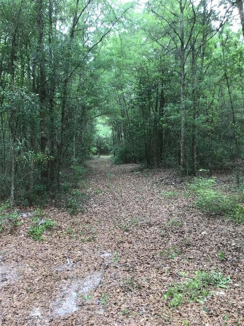 Tbd 185th Road, Live Oak, FL 32060