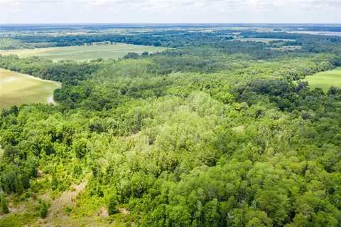 SE 245th Street, Hawthorne, FL 32640