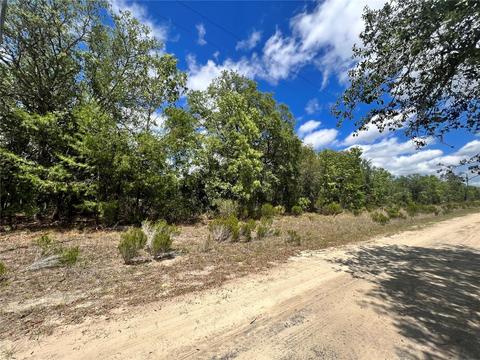 Ne 67th Lane, Bronson, FL 32621