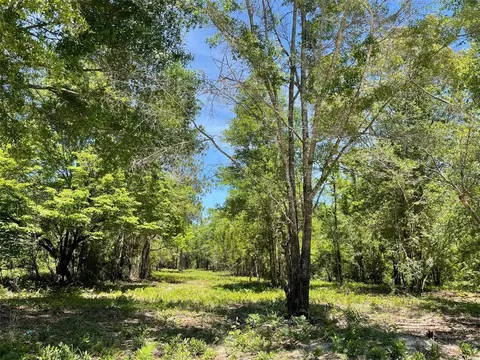 Tbd SW Pathfinder Glen, Fort White, FL 32038
