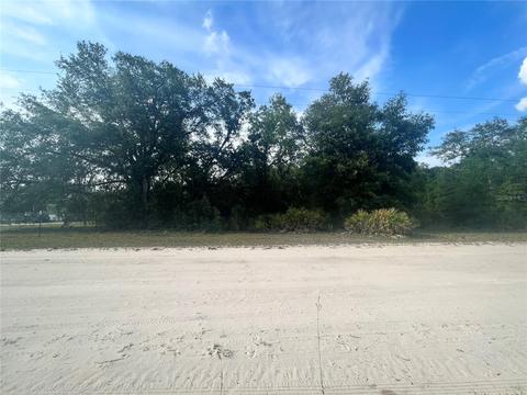 Tbd Ne 71st St, Bronson, FL 32621