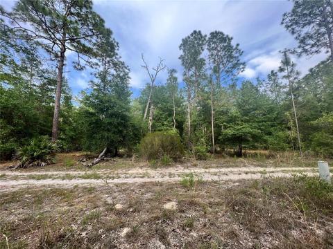 Ne 94th Ave Lot 20 & 21, Bronson, FL 32621