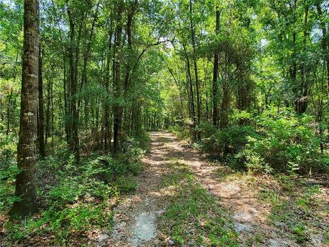 167 SE Condor Gln, High Springs, FL 32643