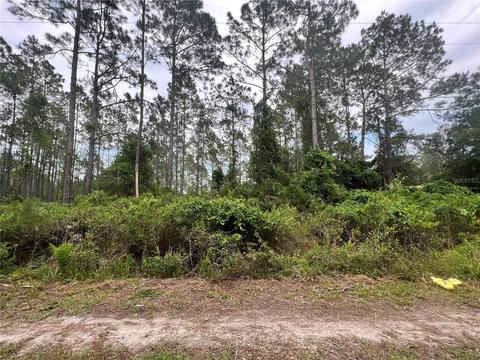 110 Nutmeg Trl, Interlachen, FL 32148