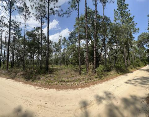 Tbd NE 72nd Place, Bronson, FL 32621