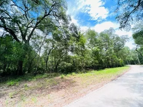 SEarl Boulevard, Branford, FL 32008