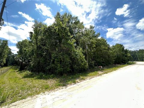 335 SW Randolph Ct, Fort White, FL 32038