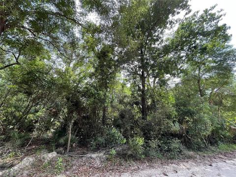 0 NW 105th St, Chiefland, FL 32626