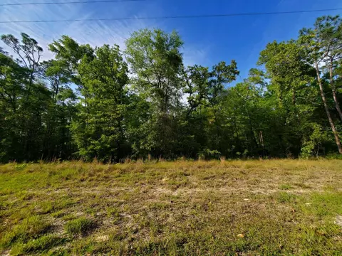 Tbd SW Kentucky Street, Fort White, FL 32038