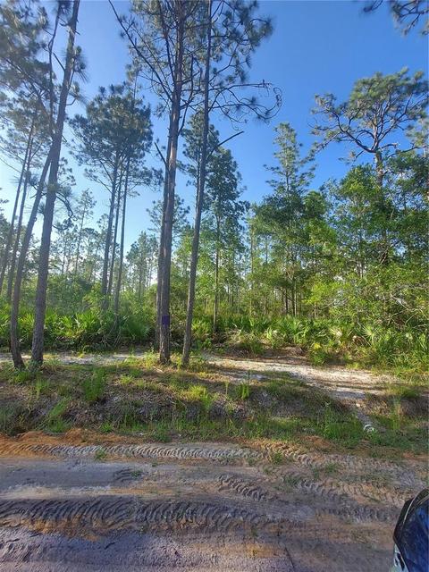 125 Donkin Ave, Interlachen, FL 32148