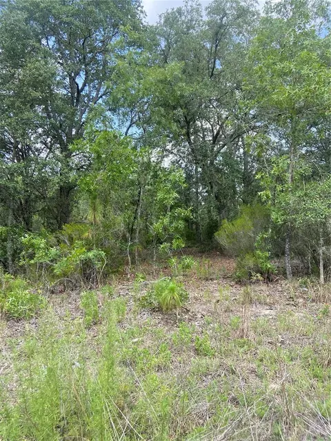 Ne 102nd Ct, Bronson, FL 32621