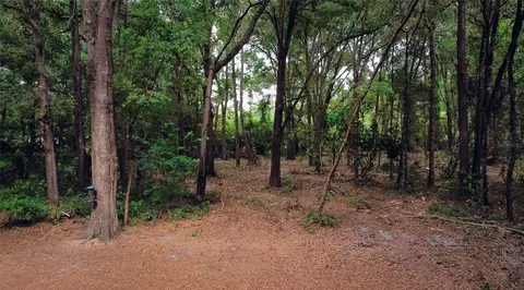 NW 182 Place, High Springs, FL 32643