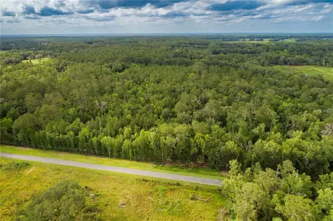 10281 NW 193rd St, Micanopy, FL 32667