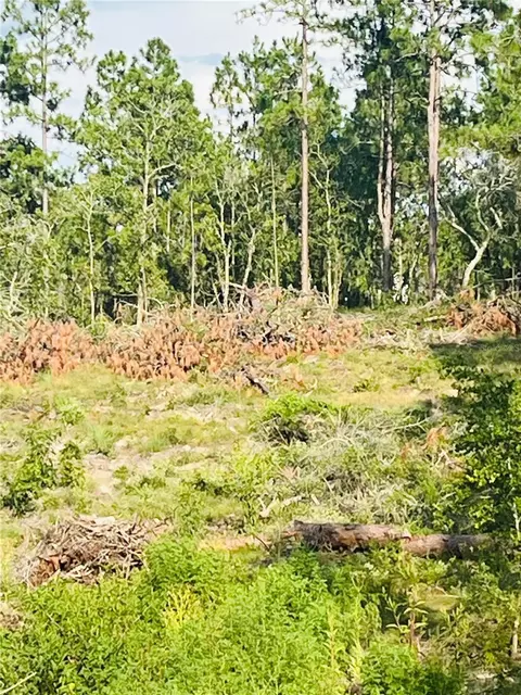 00 146th Ter, Williston, FL 32696