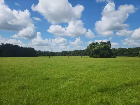 17099 NE 145th St, Williston, FL 32696