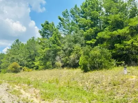 Olyvia Court County Road 315c, Keystone Heights, FL 32656