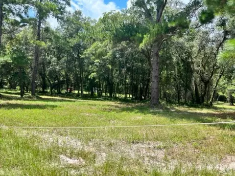 13626 SW Tustenuggee Ave, Fort White, FL 32038