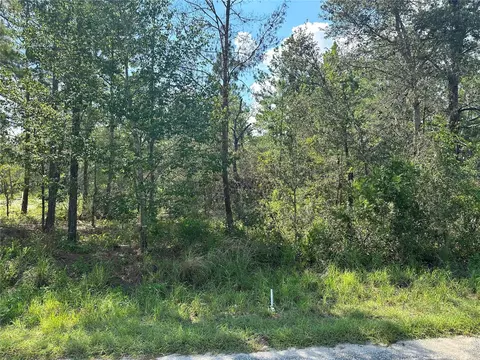 Guava Pass, Ocklawaha, FL 32179