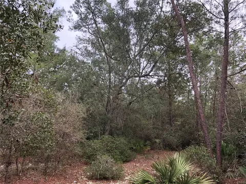 County Rd. 315, Keystone Heights, FL 32656