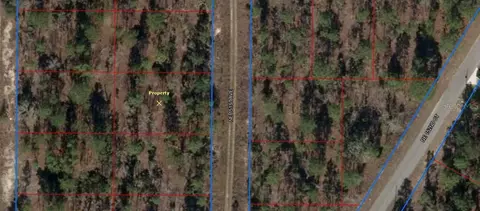 1010 NE 151 St Ave NE, Williston, FL 32696