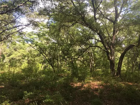 13202 SW 154th St, Archer, FL 32618