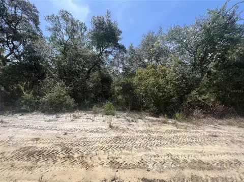 Ne 233rd Lane, Fort Mc Coy, FL 32134