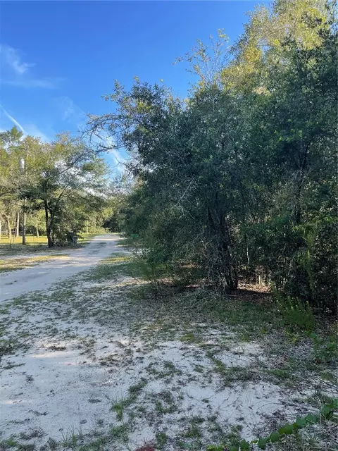 Tbd Wynetta Dr, Interlachen, FL 32148