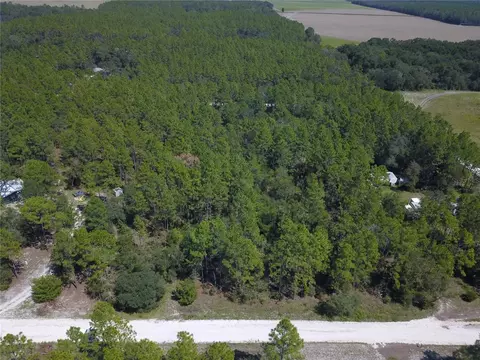 Lot 3 NW 17th Court, Bell, FL 32619