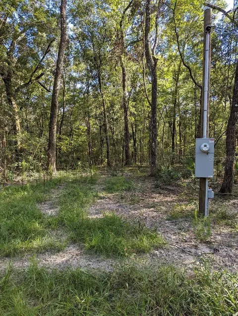 Lots 2, Bell, FL 32619