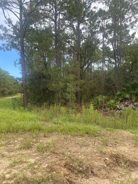 SW 81 Street, Dunnellon, FL 34432