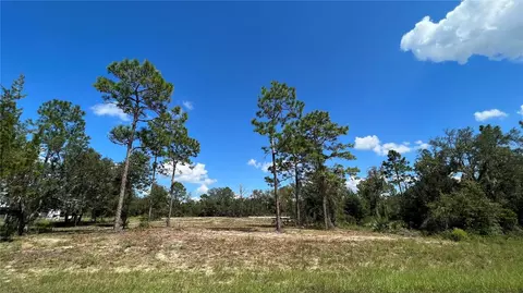 0 NE 136th Ave, Williston, FL 32696