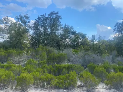 Ne 87th Place, Bronson, FL 32621