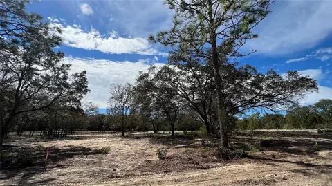 Tbd 72nd Place Ne, Bronson, FL 32621