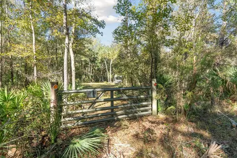Turkey Trot Trail, Cedar Key, FL 32625