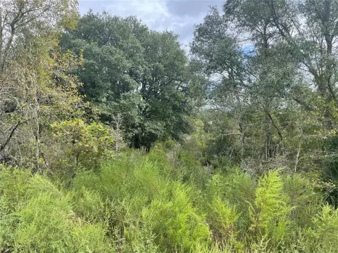 0 NE 102nd Ct, Bronson, FL 32621