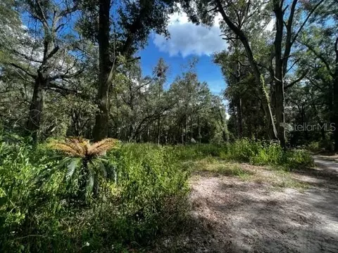 590 NW 20th Ave, Bell, FL 32619
