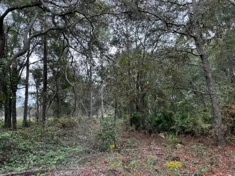 NW 11th Ave/62nd Pl Avenue, Bell, FL 32619