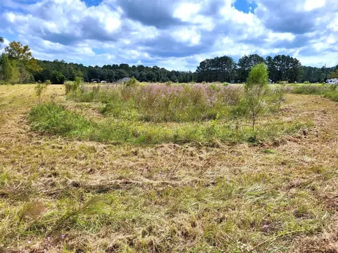 562 NW Bison Ct, White Springs, FL 32096