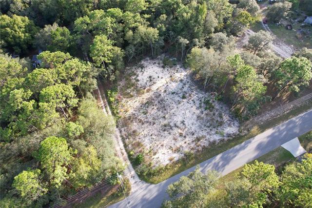 1110 E Ray St, Hernando, FL 34442