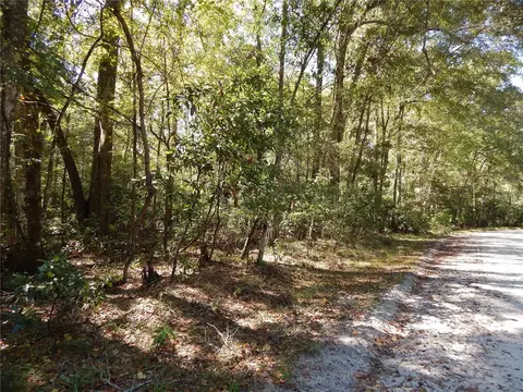 00 River Run Rd, Branford, FL 32008