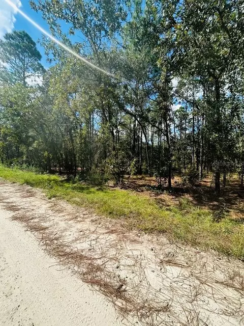 000 SE 55th Ln, Morriston, FL 32668