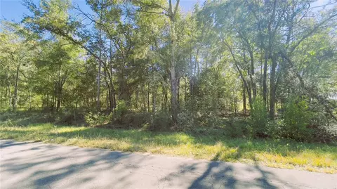 Lot 2 NE 15th Street, Williston, FL 32696