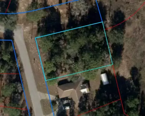 151 Terrace Ter, Williston, FL 32696